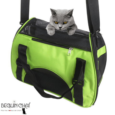 Pour votre Chat, un sac de Transport ou de Voyage...?