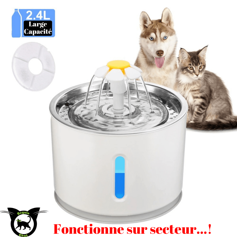 Fontaine d'eau : pourquoi l'offrir à son chat ?