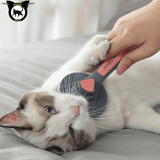 Brosse chats - chiens